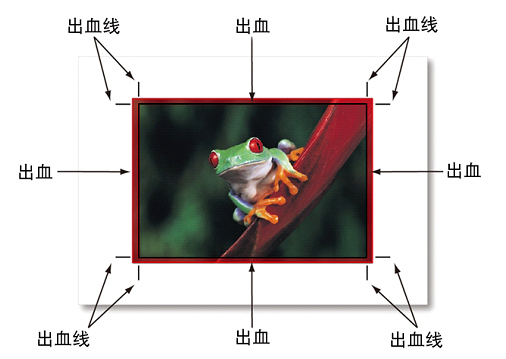 出穴位示意圖1 出穴位示意圖1