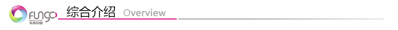 綜合介紹 綜合介紹