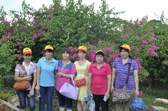 豐高員工合影2 豐高員工合影2