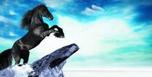 不看后悔，印刷廠2016取得業(yè)績突破的四個關(guān)鍵點！