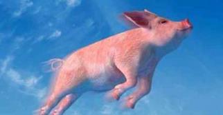 行業(yè)熱評：包裝印刷廠需要的不是抓緊趨勢，而是創(chuàng)造趨勢！