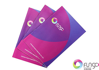 企業(yè)畫冊印刷 企業(yè)畫冊印刷